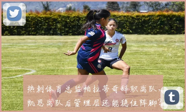 热刺体育总监帕拉蒂奇辞职离队，凯恩离队后管理层还能稳住阵脚？