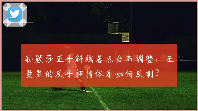 孙颖莎正手斜线落点分布调整，王曼昱的反手相持体系如何反制？